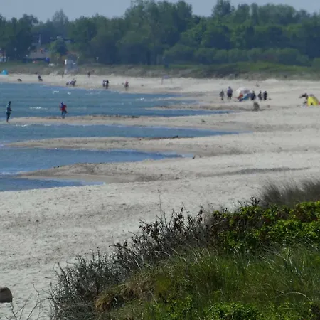 Ferienhaus-lachmoewe *