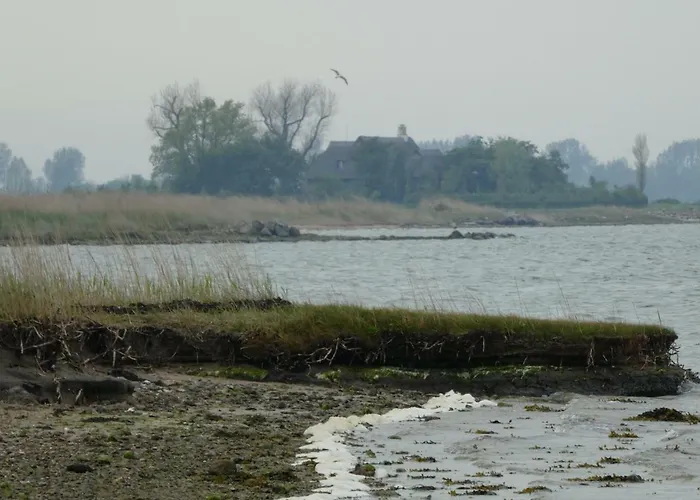Casa vacanze Ferienhaus-lachmoewe *