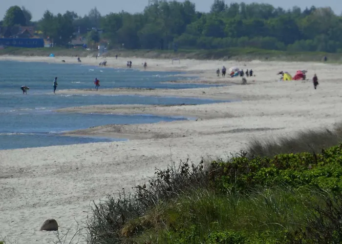 Ferienhaus-lachmoewe *