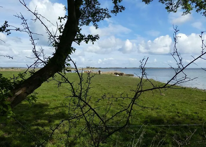 Ferienhaus-lachmoewe Kappeln